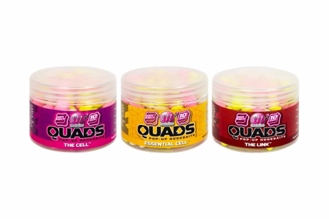 Quads_Group_Quads.jpg
