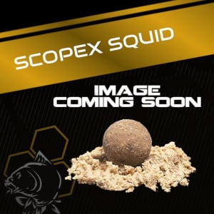 Nashbait Scopex Squid (2024) Boilie Flake