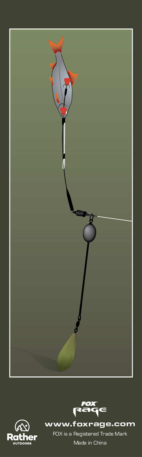 screenshot-2024-08-14-at-153633.jpg